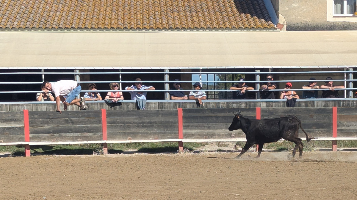 Camargue 2026 Carmargue 2026
