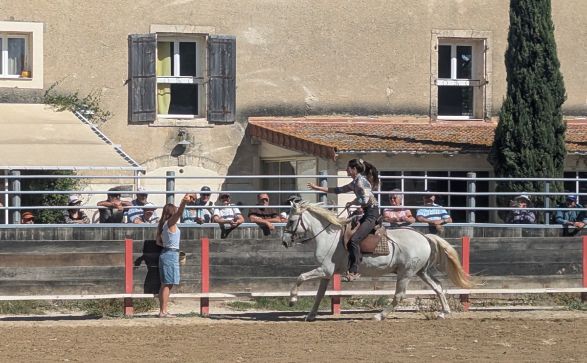 Camargue 2026 Carmargue 2026