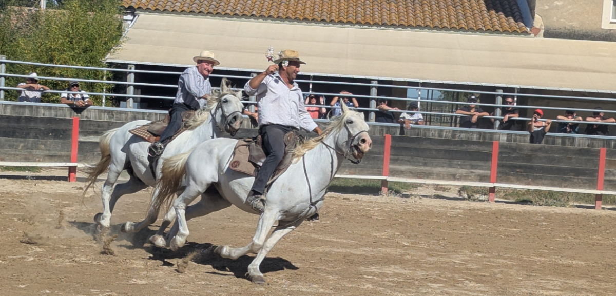 Camargue 2026 Carmargue 2026