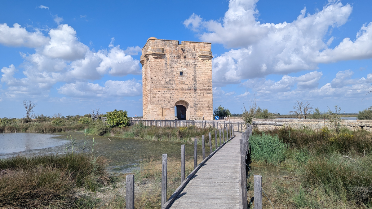 Camargue 2026 Carmargue 2026