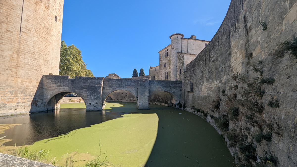 Camargue 2026 Carmargue 2026