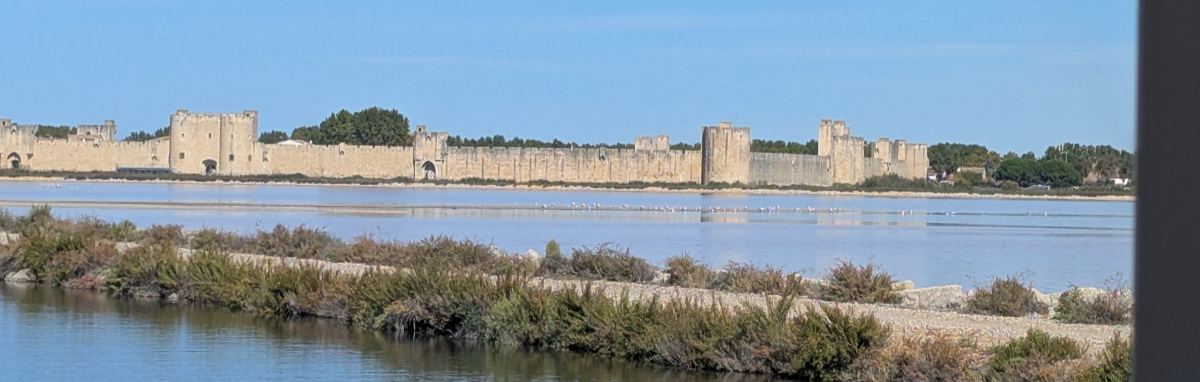 Camargue 2026 Carmargue 2026