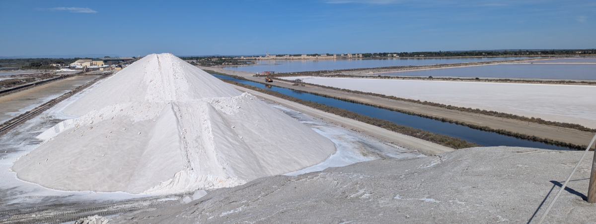Camargue 2026 Carmargue 2026