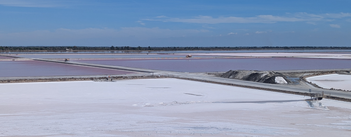 Camargue 2026 Carmargue 2026